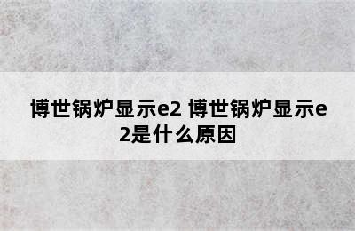 博世锅炉显示e2 博世锅炉显示e2是什么原因